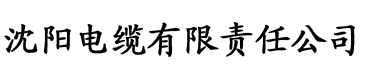 黄色的大菠萝app电缆厂logo